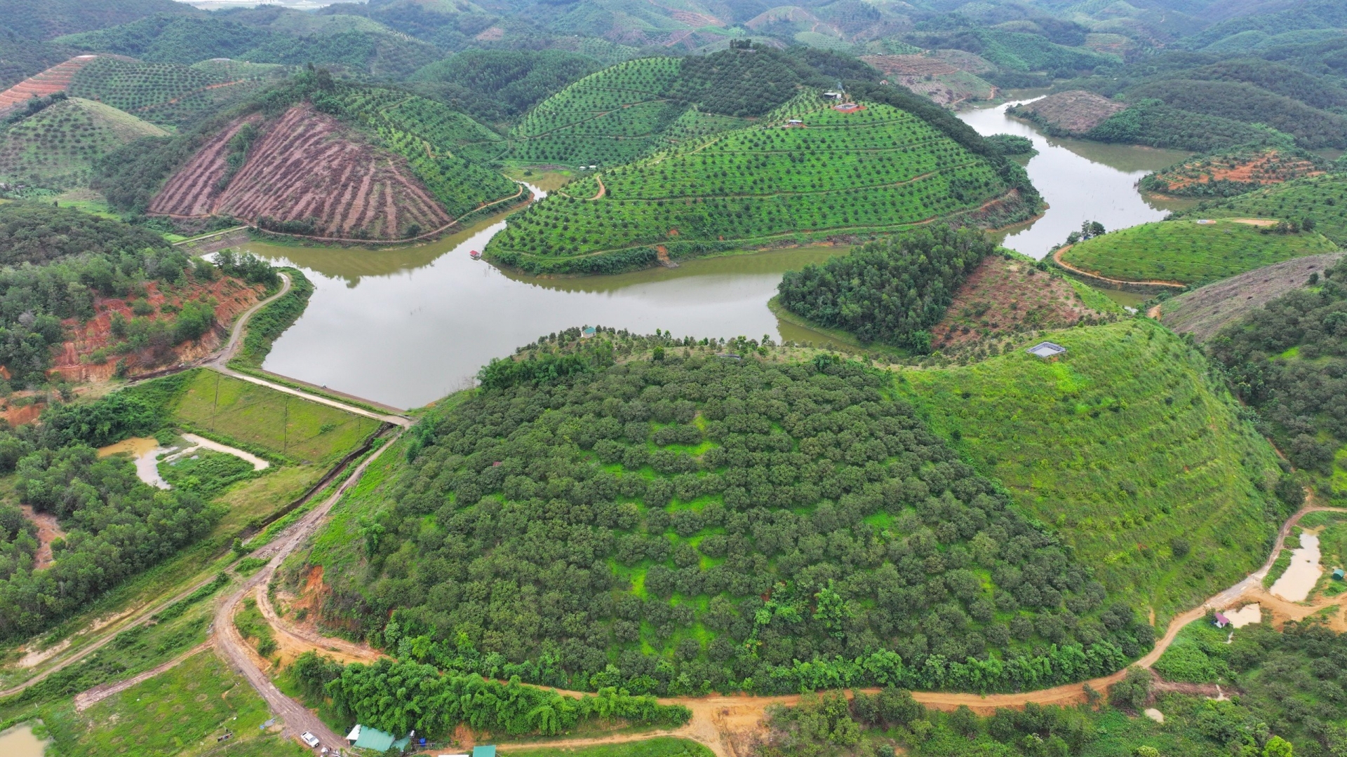 Khởi tố, bắt giam Giám đốc Chi nhánh Văn phòng đăng ký đất đai và nguyên Phó Chủ tịch UBND huyện- Ảnh 2.