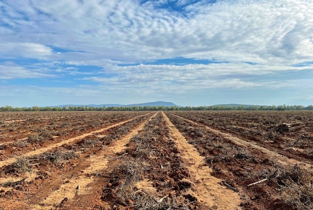 Australian vineyards