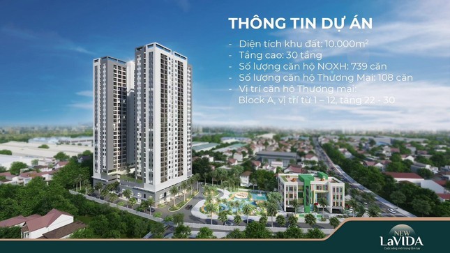 Xôn xao nhà xã hội ở Bình Dương bán với giá nhà thương mại- Ảnh 1.