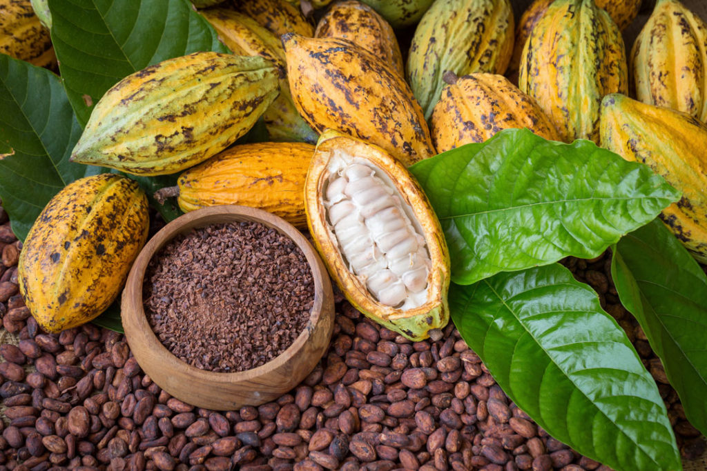 Cacao Nacional