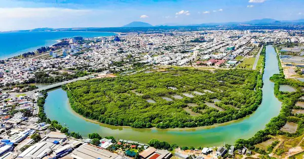 Bình Thuận Abandons Real Estate Project to Create an Ecological Park
