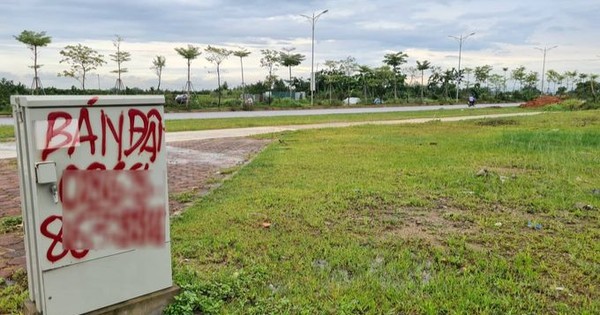 Hà Nội District set to Auction Nearly 500 Plots of Land