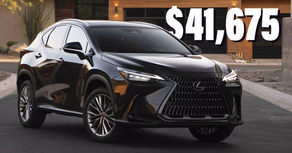 Lexus NX 2025: Light Upgrades with a Significant Price Increase