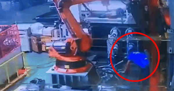 Robot Attack Claims Life of Engineer in Thai Factory, Shocking CCTV Footage Revealed